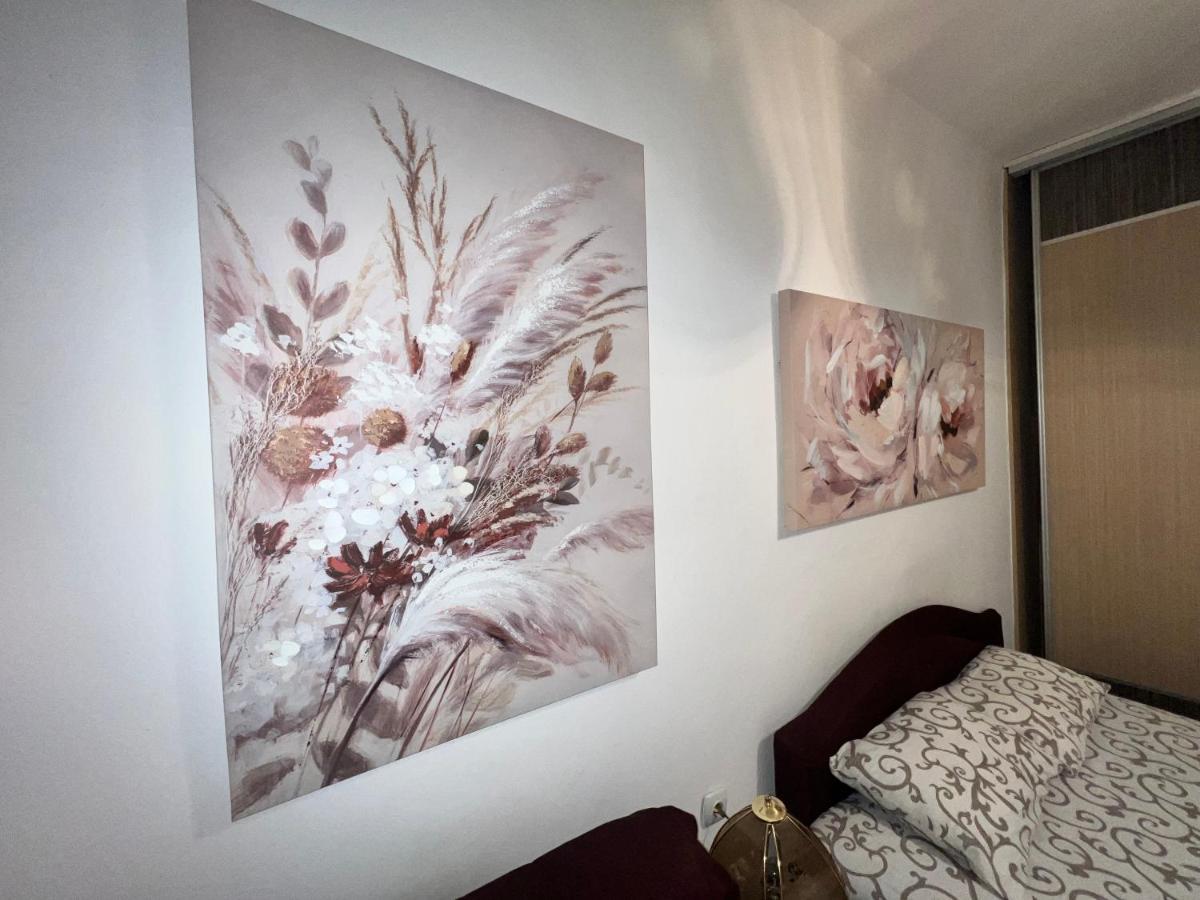 Hardy'S Apartment เบลเกรด ภายนอก รูปภาพ
